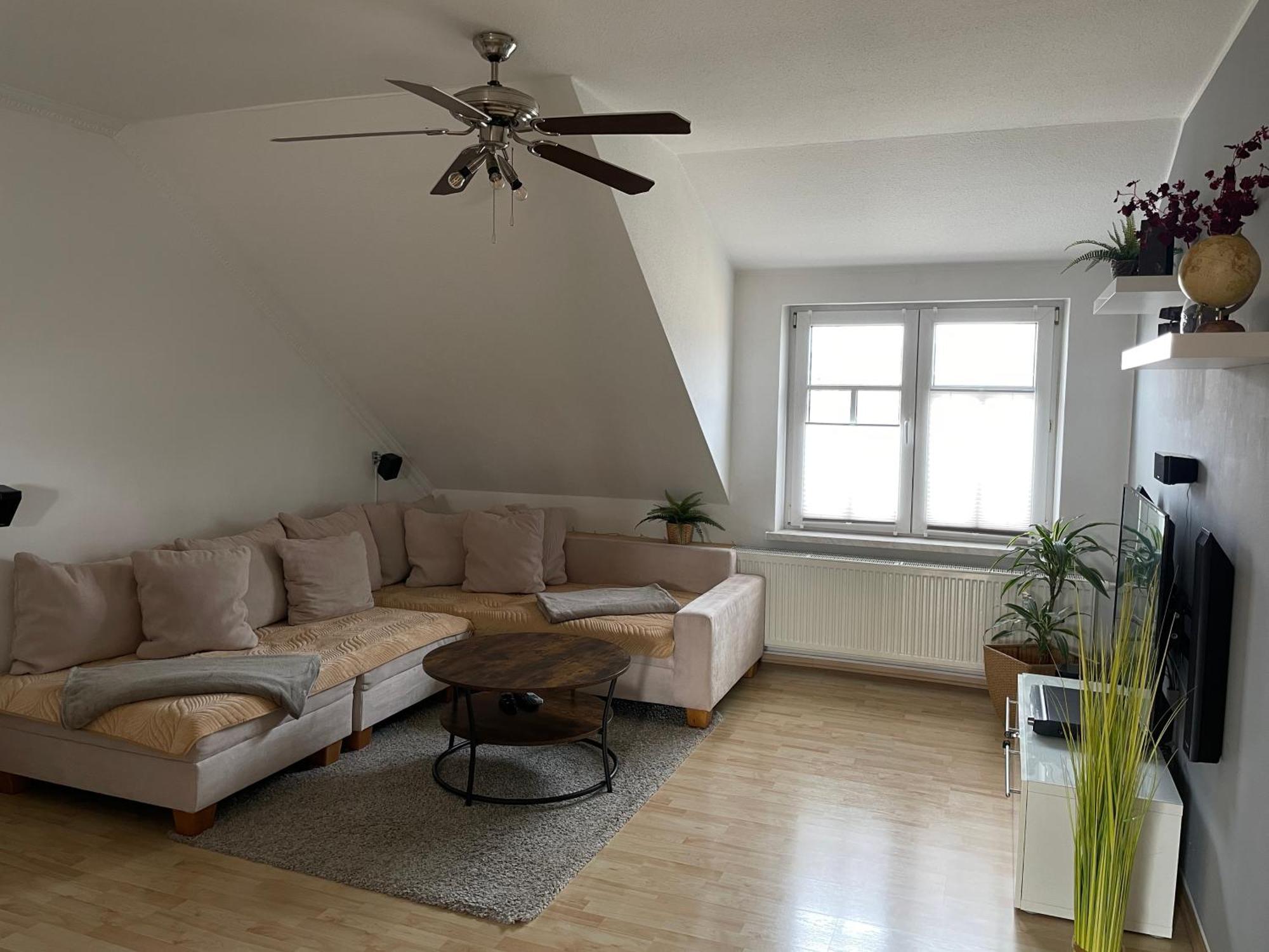 Bambus, Jungle, Dachterrasse & Bequem Bis Zentrum