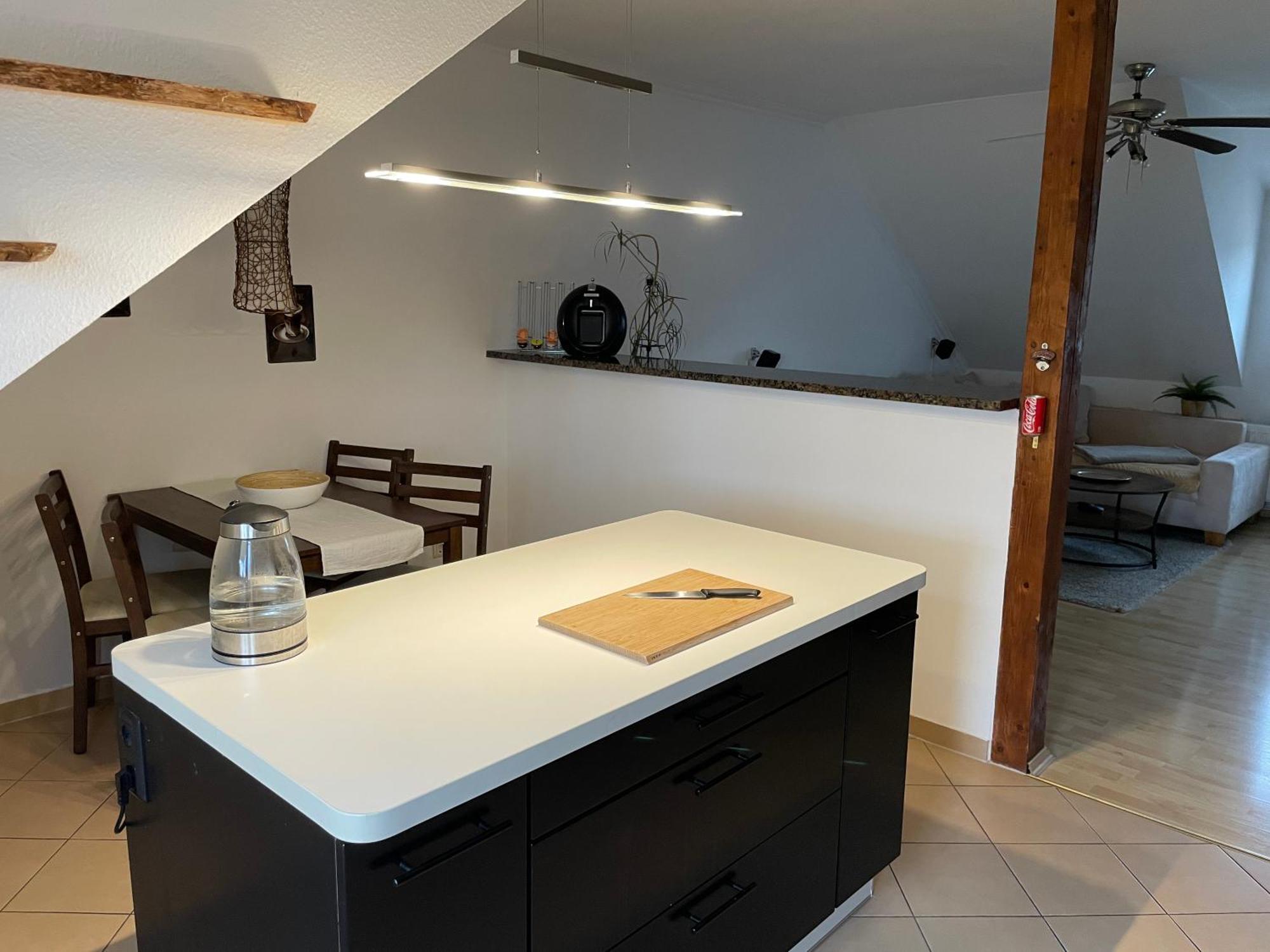 Bambus, Jungle, Dachterrasse & Bequem Bis Zentrum Radebeul